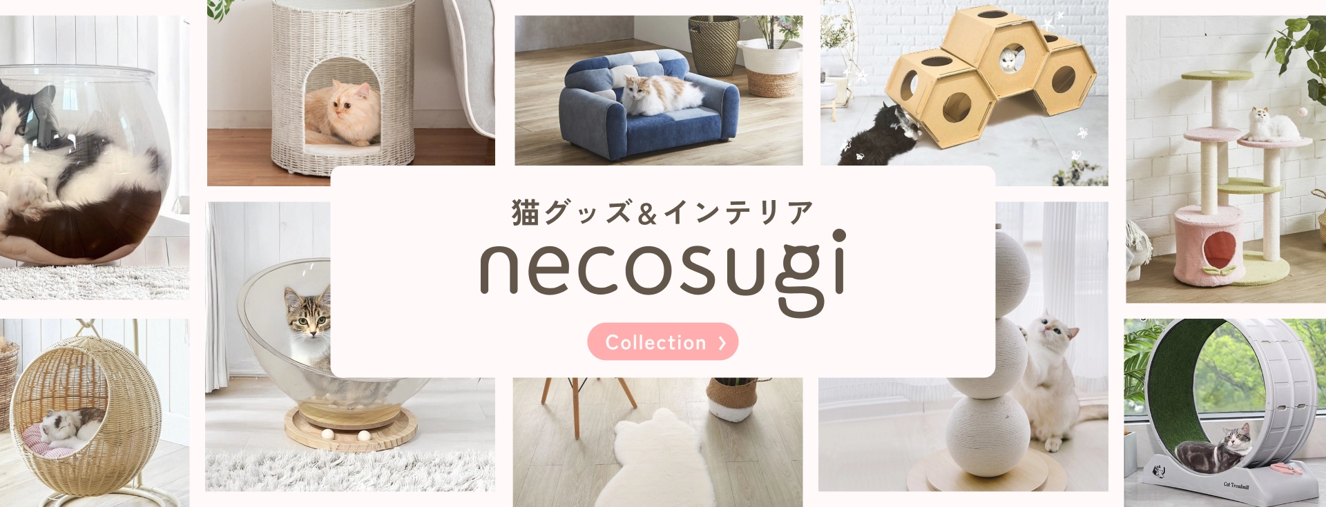 necosugi